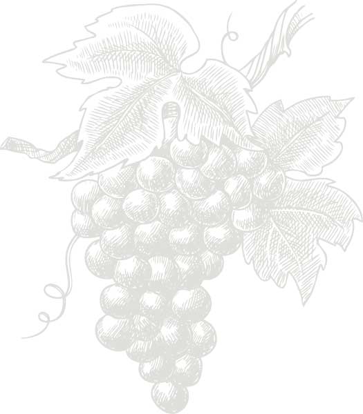 Solution Click and Collect à Sète