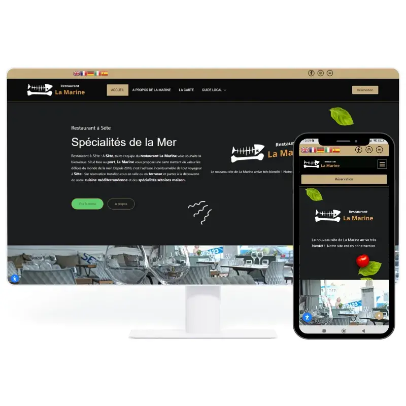 Pack Site Web Pro 1 Pack Site Web Pro