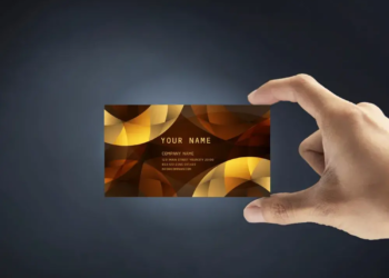 250 cartes de visite